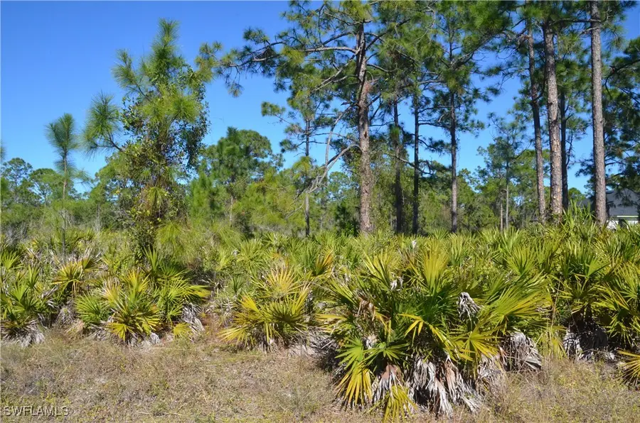 1602 W 14th Street, Lehigh Acres, FL 33972 - Image #3