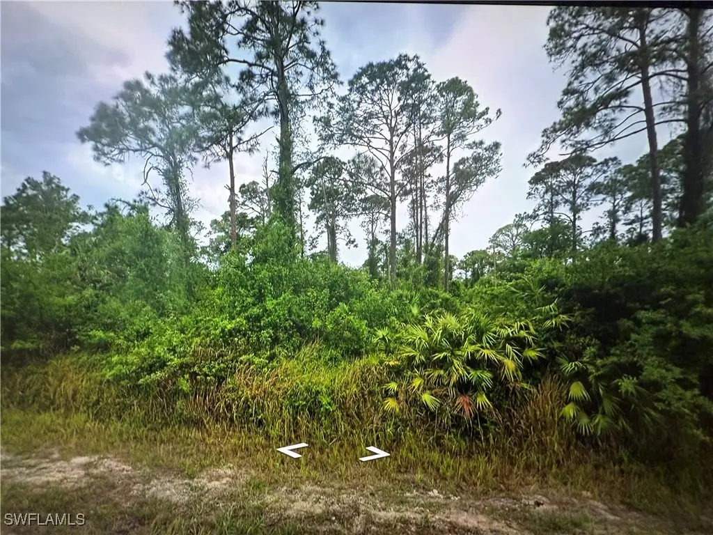 1203 James Avenue, Lehigh Acres, FL 33972 - Image #1