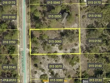 1708 Plumosa Avenue, Lehigh Acres, FL 33972 - Image #2