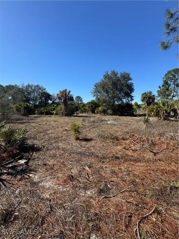 855 S Cabbage Palm Street, Clewiston, FL 33440 - Image #2