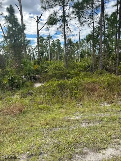 1054 Manta Avenue S, Lehigh Acres, FL 33974 - Image #3