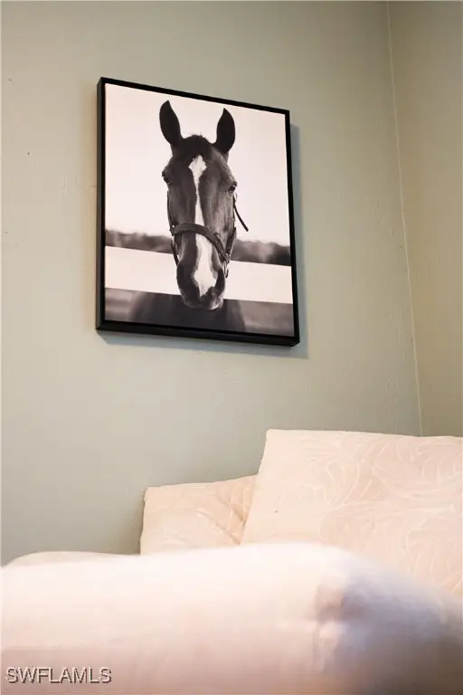 25335 Pinson Drive, Bonita Springs, FL 34135 - #3