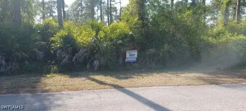 2017 Columbus Avenue, Alva, FL 33920