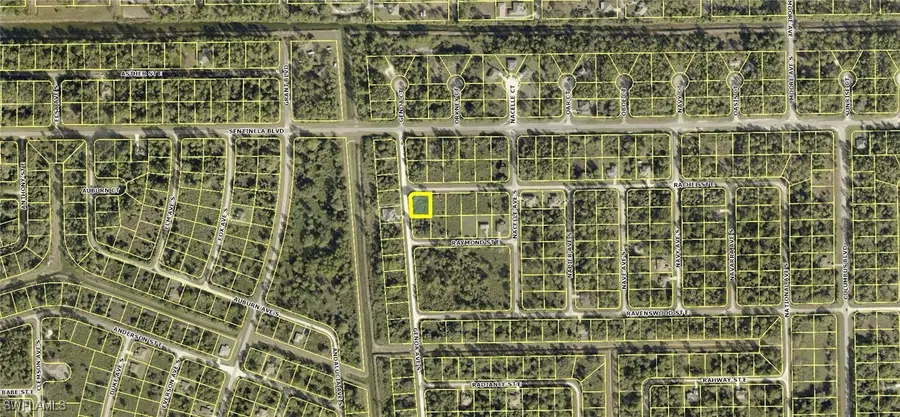 1106 Rachel Street E, Lehigh Acres, FL 33974 - #3
