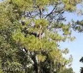 2nd Avenue Ne, Naples, FL 34120 - #1