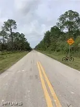 26th Avenue Se, Naples, FL 34117 - Image #1