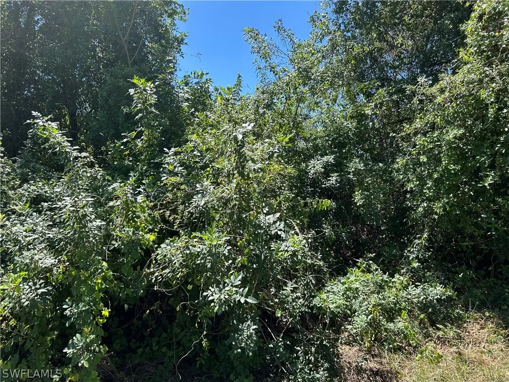 1609/1611 W 12th Street, Lehigh Acres, FL 33972 - #1