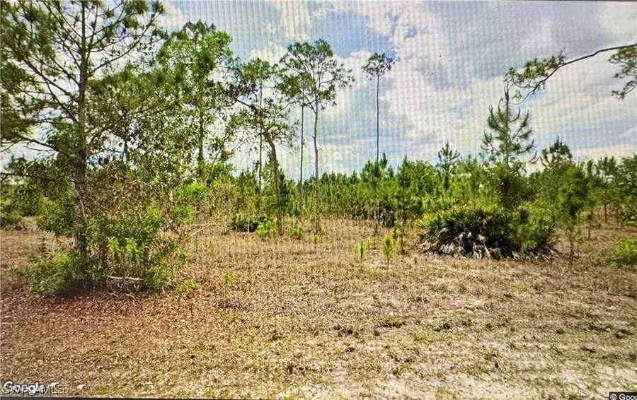 1005 Hamilton Avenue, Lehigh Acres, FL 33972 - #3