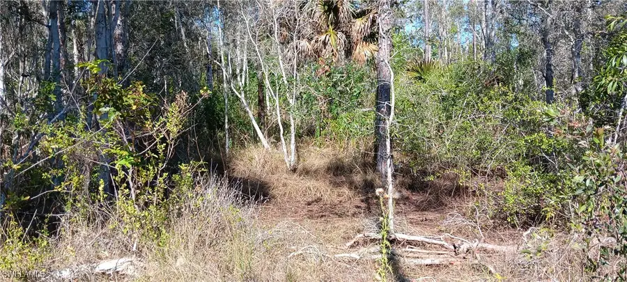 Vista Ridge Drive, Fort Myers, FL 33913 - #3