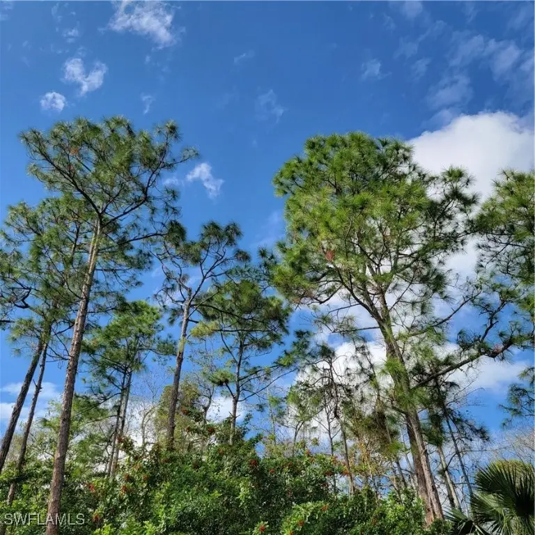 3011 2nd Street Ne, Naples, FL 34120 - #2