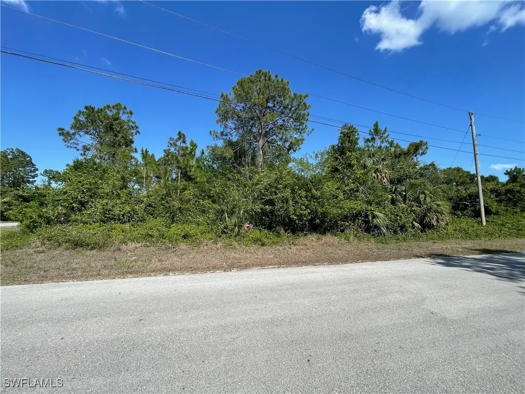 119 Fox Avenue S, Lehigh Acres, FL 33974 - #1