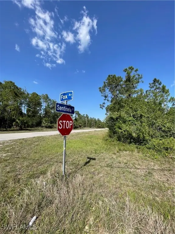 119 Fox Avenue S, Lehigh Acres, FL 33974 - #2