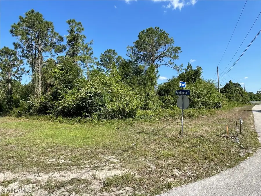 119 Fox Avenue S, Lehigh Acres, FL 33974 - #3