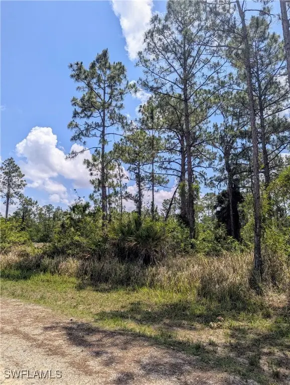 249 Andalucia Avenue S, Lehigh Acres, FL 33974 - #2