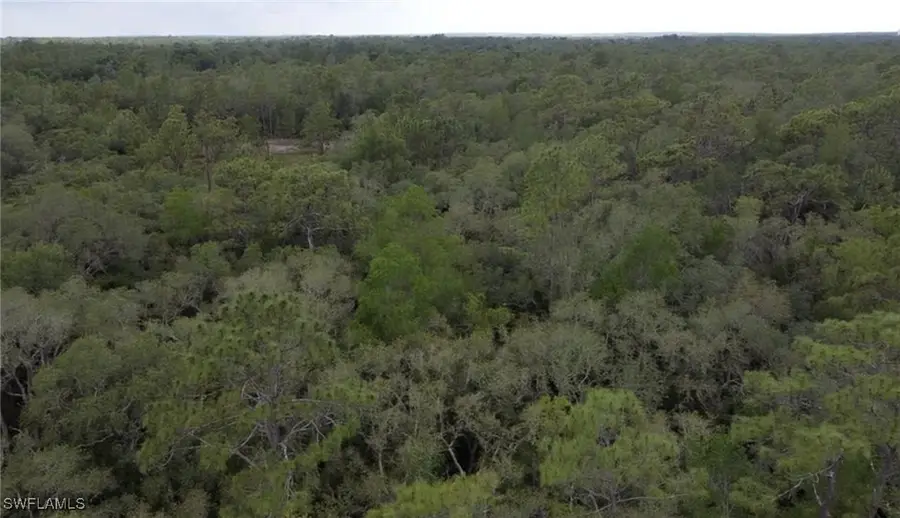 34287 Berryhill Drive, Webster, FL 33597 - Image #2