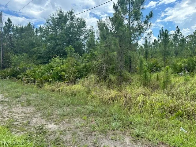 921 Robert Avenue, Lehigh Acres, FL 33936 - #2