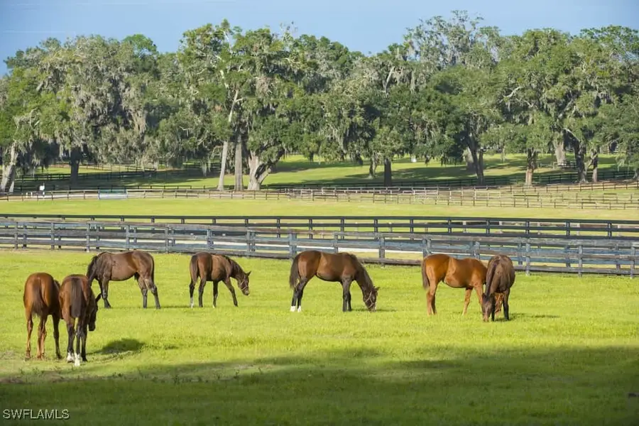 4880 Landen Lane, Fort Myers, FL 33905 - Image #3