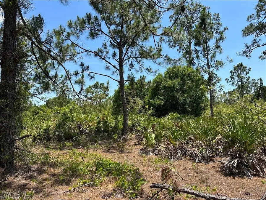 7897 5th Place, Labelle, FL 33935 - Image #3