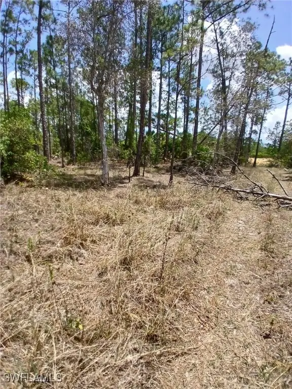 2142 Winnetka Drive, Lehigh Acres, FL 33972 - Image #2