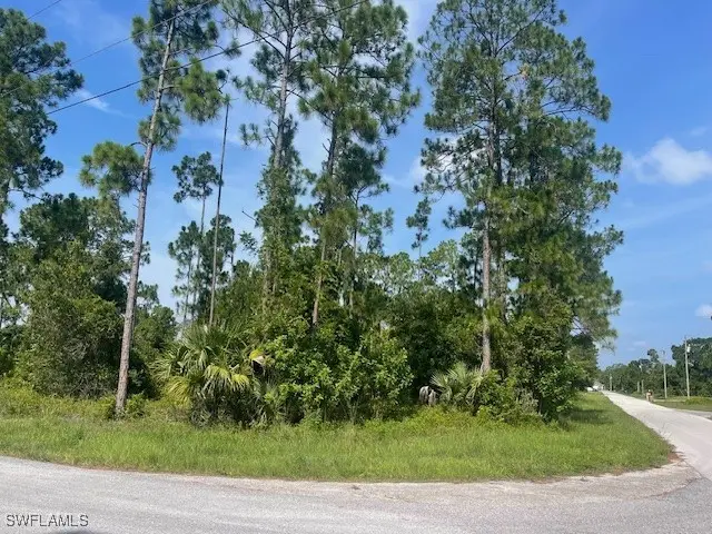 1010 Manikin Avenue S, Lehigh Acres, FL 33974 - #1