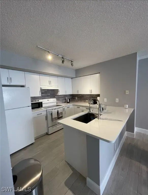 8735 River Homes Lane #6206, Bonita Springs, FL 34135 - Image #2