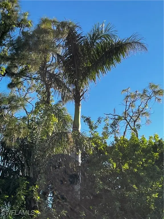 24033 Roger Dodger, Bonita Springs, FL 34135 - #3