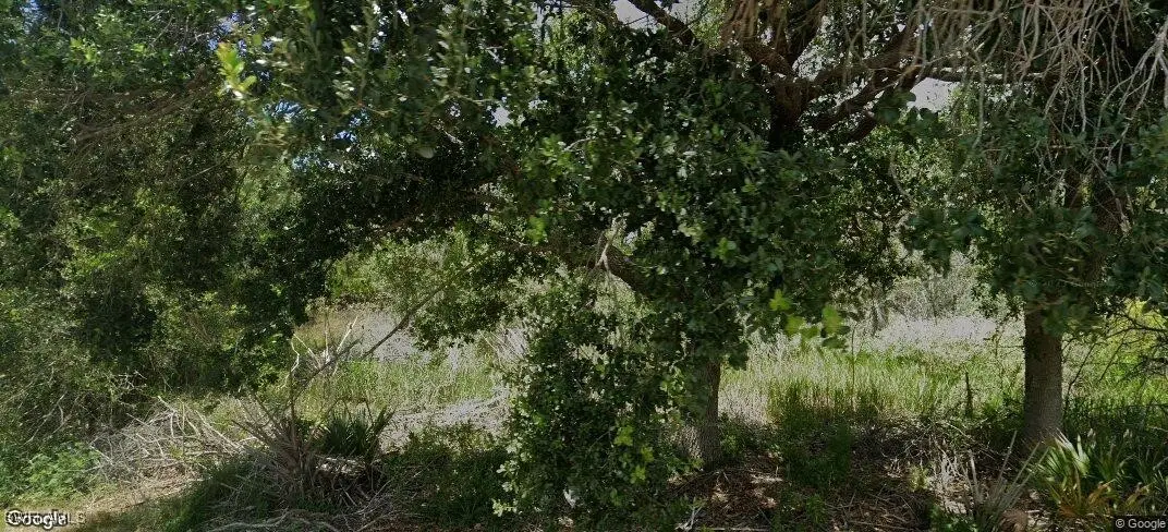 927 Grafton Street, Lehigh Acres, FL 33974 - #1