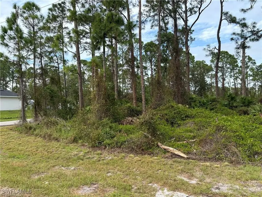 925 Barton Street E, Lehigh Acres, FL 33974 - #3