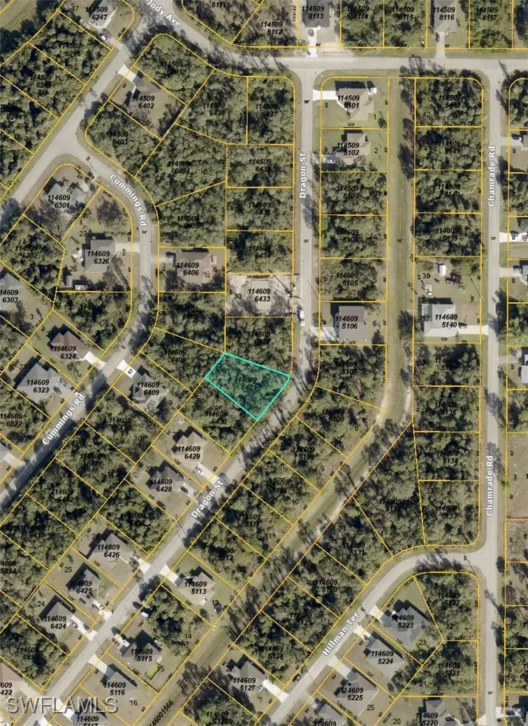 Dragon Street, North Port, FL 34288 - #2