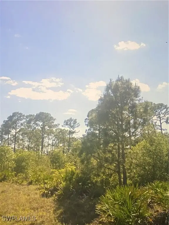 1513 Poinsettia Avenue, Lehigh Acres, FL 33972 - #2