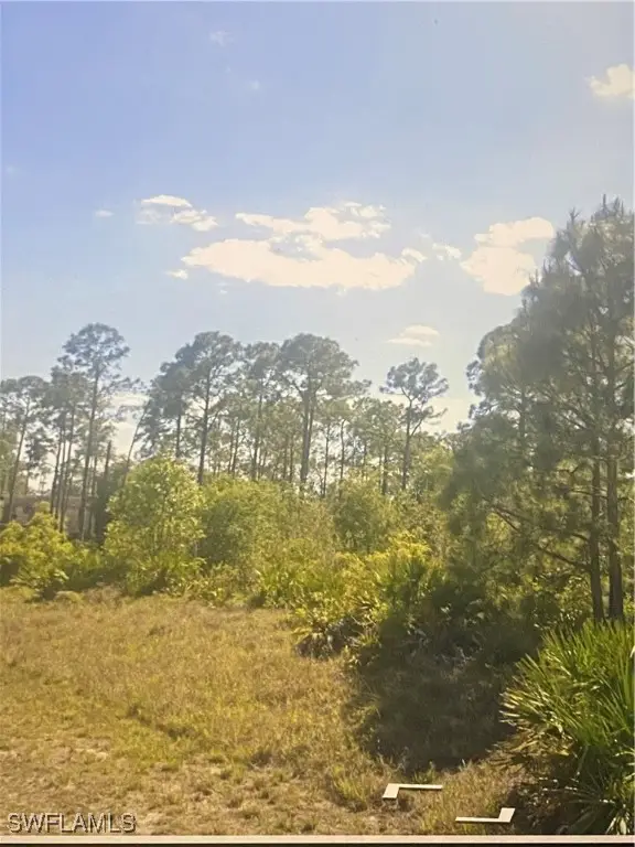 1513 Poinsettia Avenue, Lehigh Acres, FL 33972 - #3