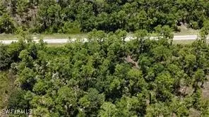 131 Nassau Avenue S, Lehigh Acres, FL 33974 - Image #1