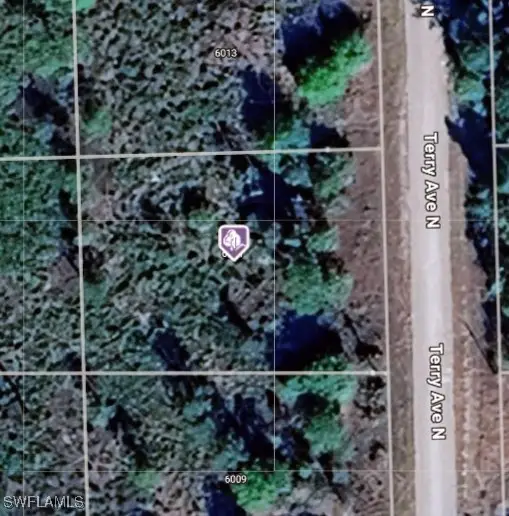 6011 Terry Avenue N, Lehigh Acres, FL 33971 - Image #2