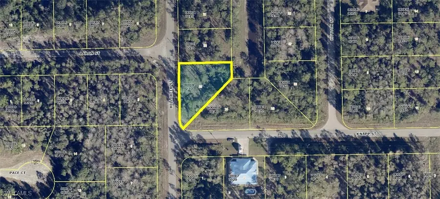 545 Millcreek Street, Lehigh Acres, FL 33974 - Image #3