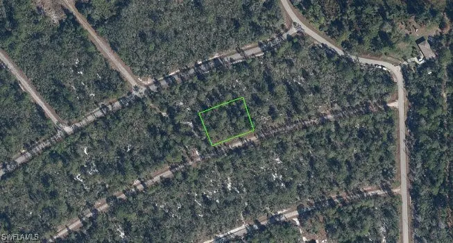 3119 Stillwell Avenue, Lake Placid, FL 33852 - Image #1