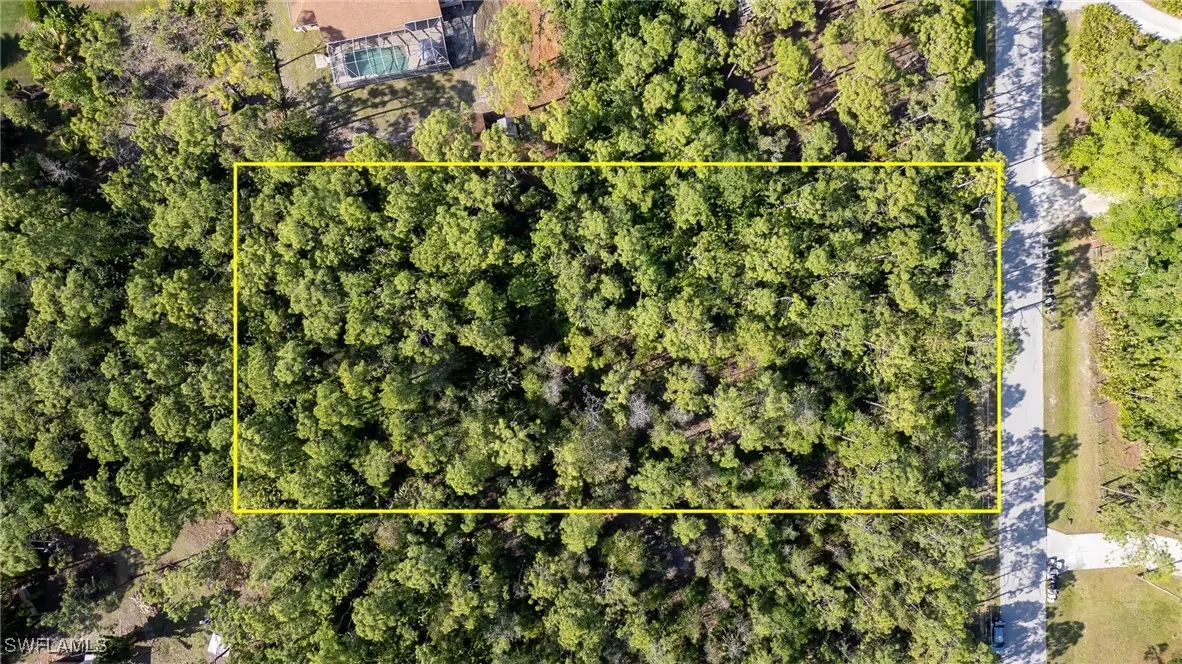 25188 Papillion Drive, Bonita Springs, FL 34135 - #1