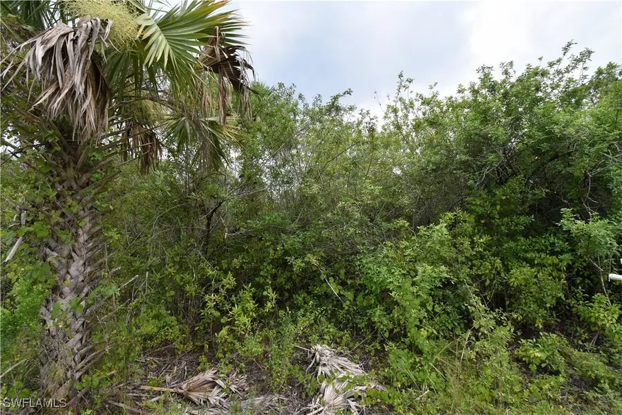 36th Avenue Se, Naples, FL 34117 - Image #3