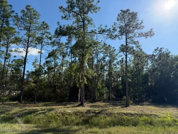 2596 56th Avenue Ne, Naples, FL 34120