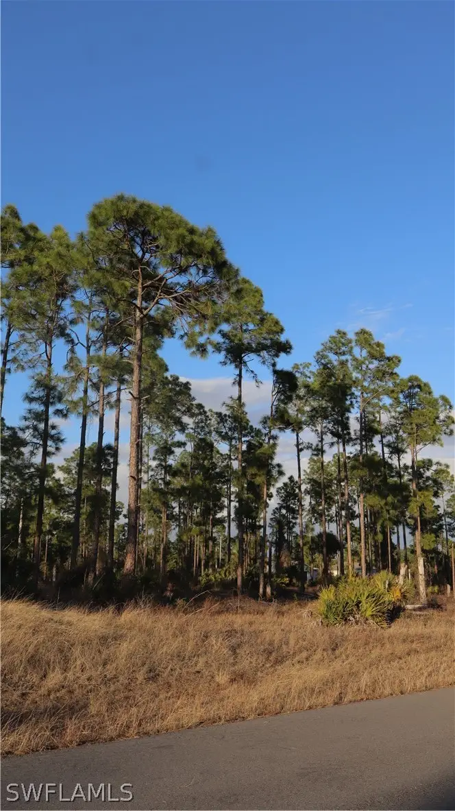 1107 Florence Street E, Lehigh Acres, FL 33974 - #2