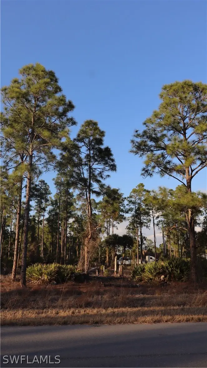 1111 Florence Street E, Lehigh Acres, FL 33974 - #1