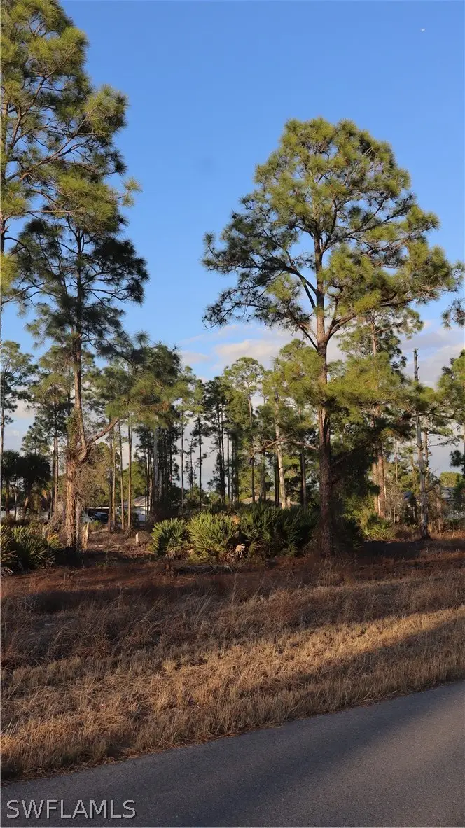 1111 Florence Street E, Lehigh Acres, FL 33974 - #2