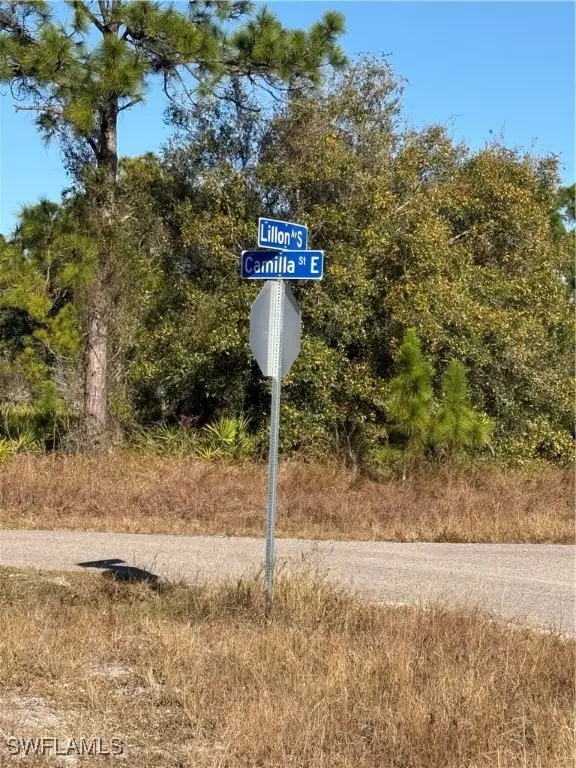 385 Lillon Avenue S, Lehigh Acres, FL 33974 - Image #2