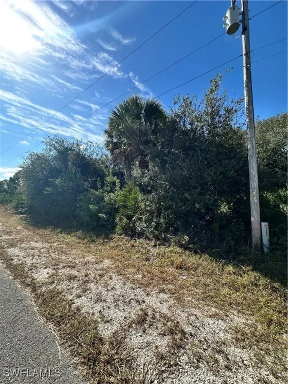 1113 Pine Avenue, Lehigh Acres, FL 33972 - Image #2