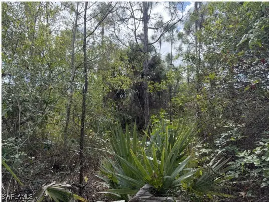 xxxx 52nd Avenue Ne, Naples, FL 34120 - Image #2