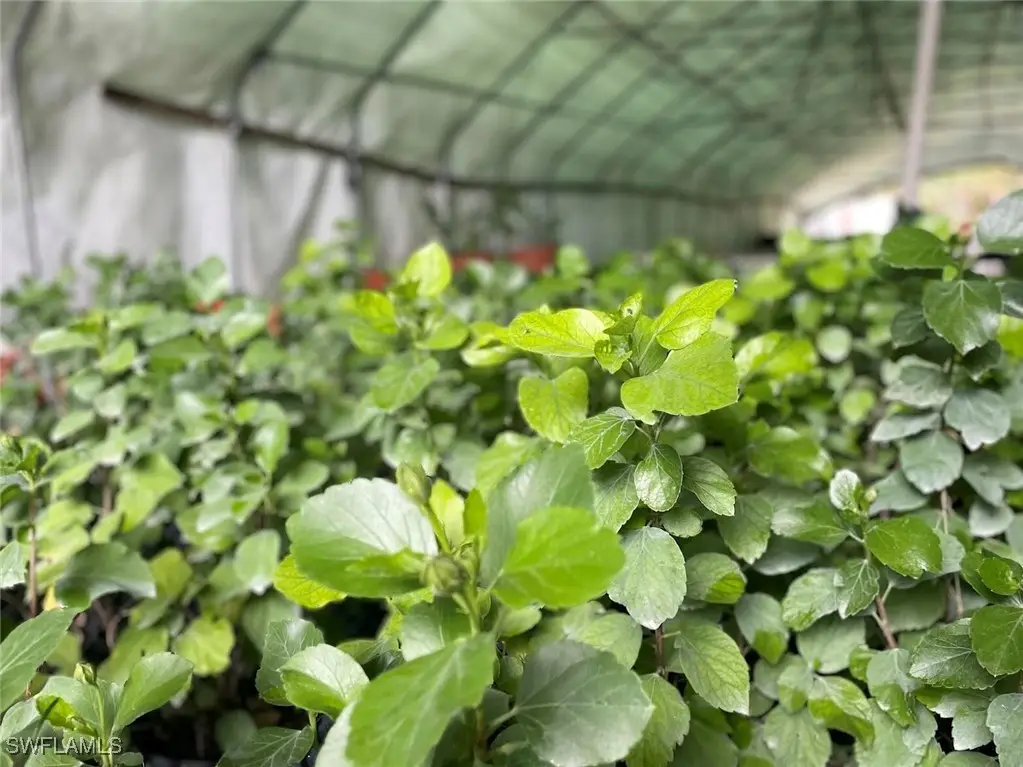 2185 Markley Avenue, Naples, FL 34117 - #1