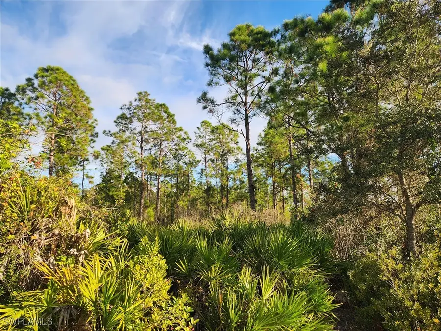 4213 Randall Boulevard, Naples, FL 34120 - Image #2