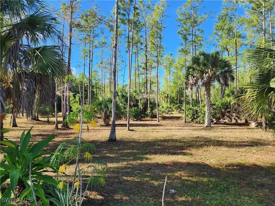 0 2nd Avenue, Naples, FL 34120 - Image #2