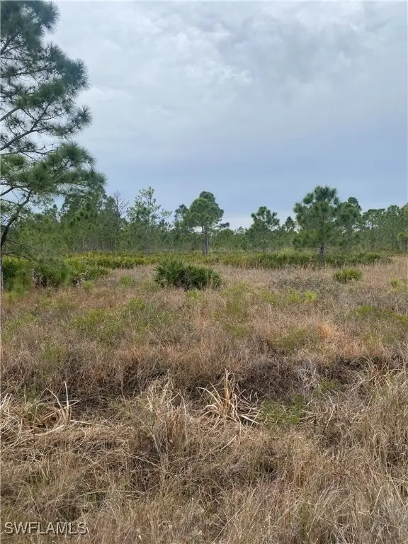 50522 Bermont Road, Punta Gorda, FL 33982 - Image #2