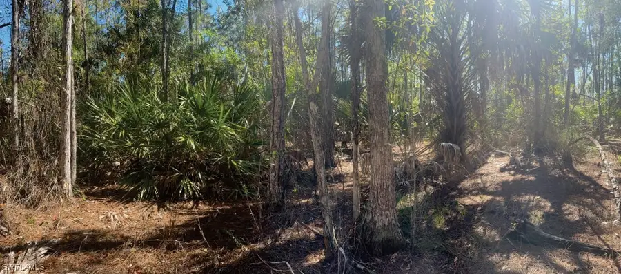 4361 4th Ave Ne, Naples, FL 34120 - Image #2