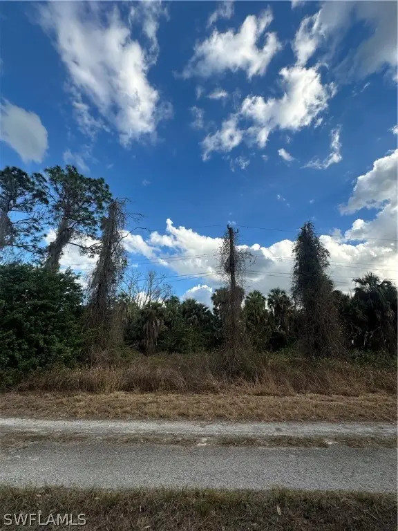 1924 Miriam Street, Lehigh Acres, FL 33972 - #2